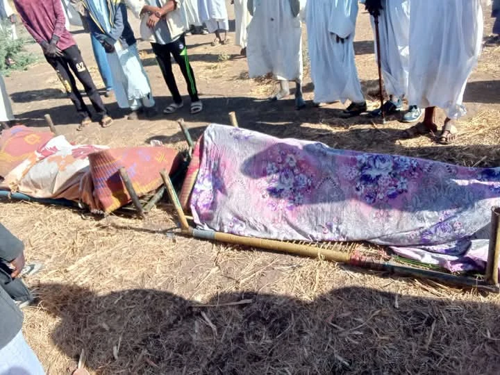 Voices from the Margins: The Struggle of Al-Kanabi Communities in Sudan.