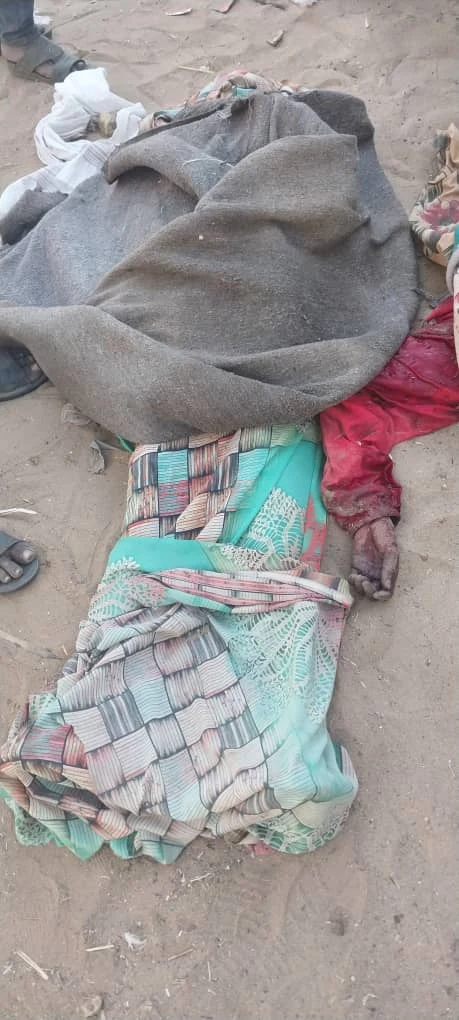 Statement on the December 23, 2024 Airstrike on Civilian Marketplace in Kutum, North Darfur State